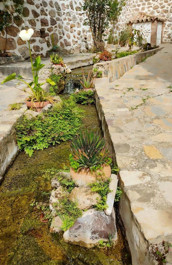 Casa El Patio Del Limon, Con Piscina Villa Montecorto Kültér fotó